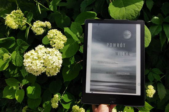 Powrót Wilka, Mirosław Tomaszewski