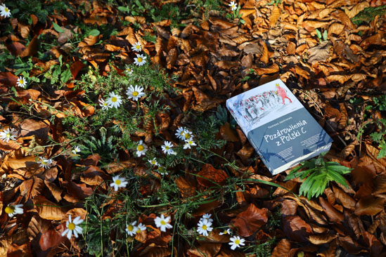 Pozdrowienia z Polski C, Tomasz Jachimek