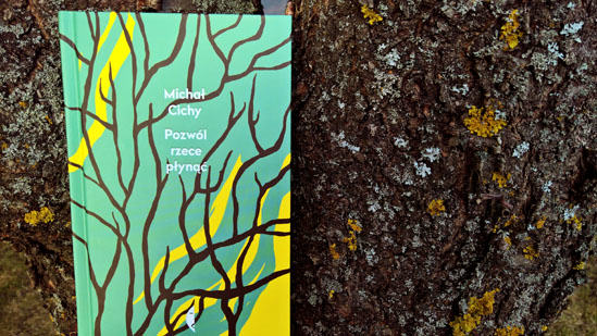 Pozwól rzece płynąć, Michał Cichy