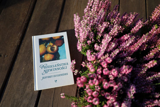 Przekleństwa niewinności, Jeffrey Eugenides