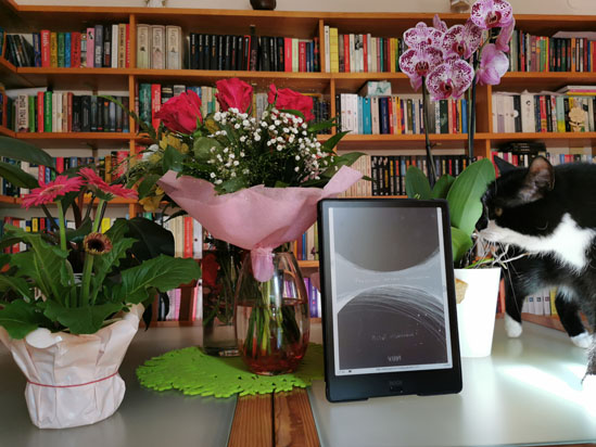 Przepłynąć wpław szaleństwo, Michał Hildebrandt