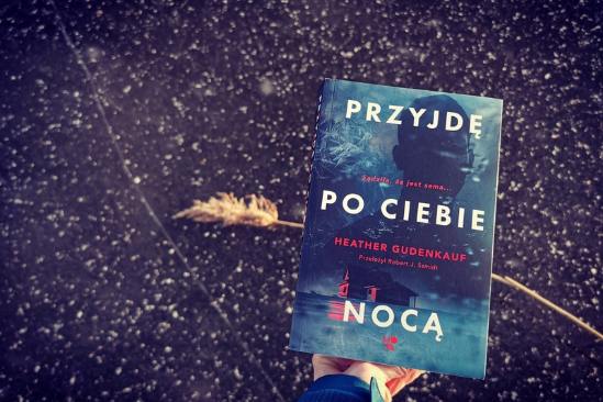 Przyjdę po ciebie nocą 