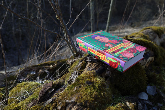 Rodziewicz-ówna, Emilia Padoł