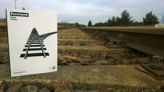 Rozwiązek, Susan Taubes