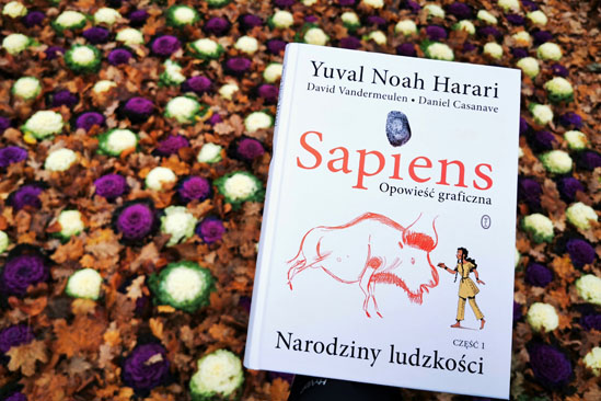 Sapiens. Opowieść graficzna. Narodziny ludzkości, Yuval Noah Harari, David Vandermeulen, Daniel Casanave