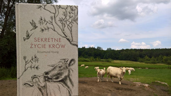 Sekretne życie krów, Rosamund Young
