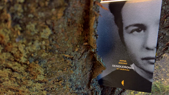 Sendlerowa. W ukryciu, Anna Bikont