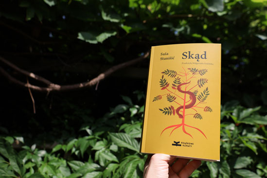 Skąd, Saša Stanišić