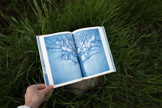 Skrzydlate książki, Anna Sakowicz