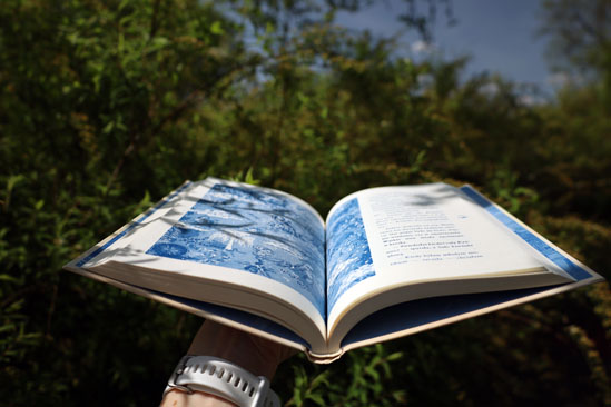 Skrzydlate książki, Anna Sakowicz