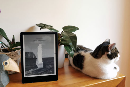 Słoń z Etretat, Joanna Stoga