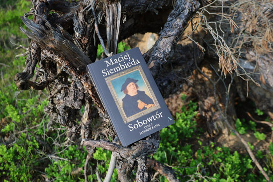 Sobowtór, Maciej Siembieda