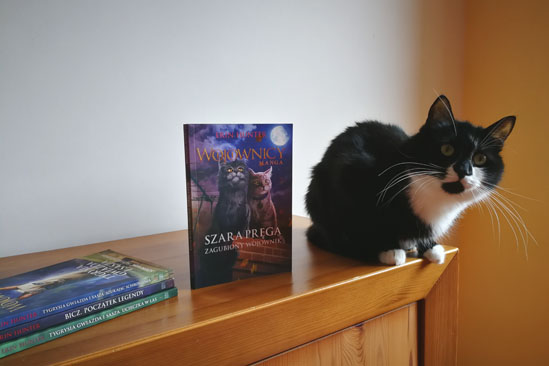 Szara Pręga. Zaginiony wojownik - Erin Hunter