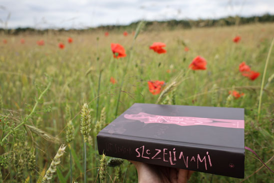 Szczelinami, Wit Szostak