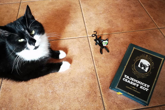 Tajemniczy czarny kot, Nathalie Semenuik