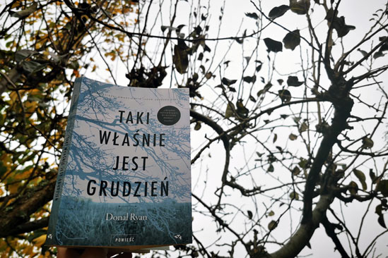 Taki właśnie jest grudzień, Donal Ryan