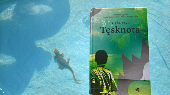 Tęsknota, Gaël Faye