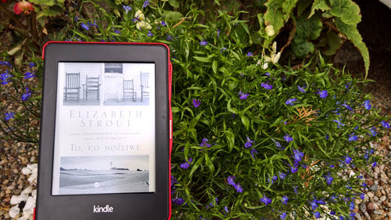 To, co możliwe, Elizabeth Strout