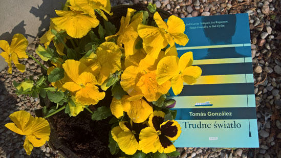 Trudne światło, Tomás González