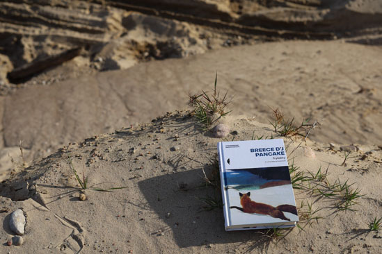 Trylobity, Breece D'J Pancake