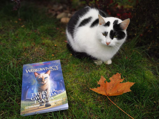 Tygrysia gwiazda i Sasza. Szukając schronienia, Erin Hunter