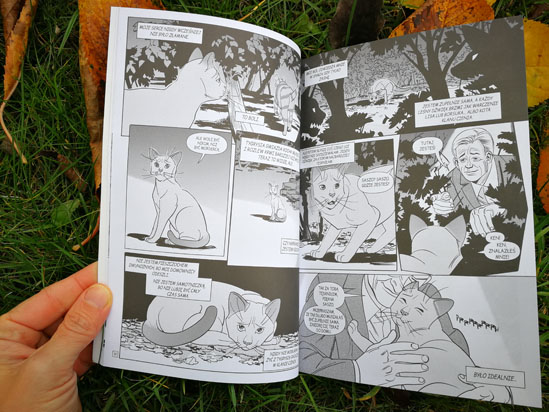 Tygrysia gwiazda i Sasza. Szukając schronienia, Erin Hunter