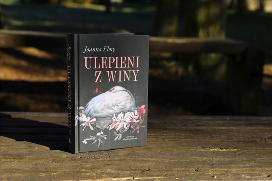 Ulepieni z winy, Joanna Elmy