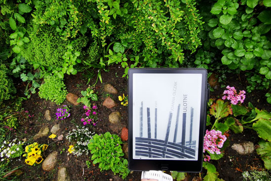 Ulotne, Joanna Olczak