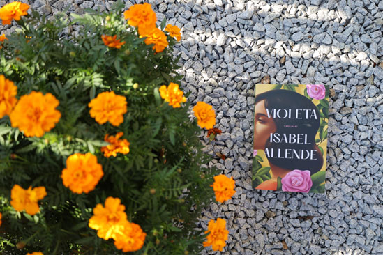 Violeta, Isabel Allende
