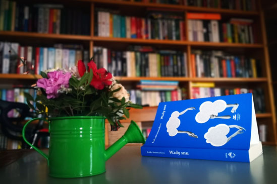 Wady snu, Radka Denemarková