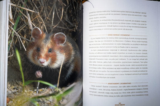 Wielka księga prawdziwych tropicieli, Adam Wajrak