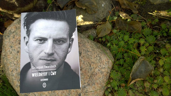 Wieloryby i ćmy. Dzienniki, Szczepan Twardoch