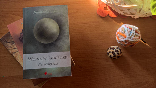 Wojna w Jangblizji. We wnętrzu, Agnieszka Steur