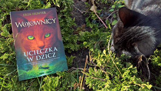 Wojownicy . Ucieczka w dzicz, Erin Hunter