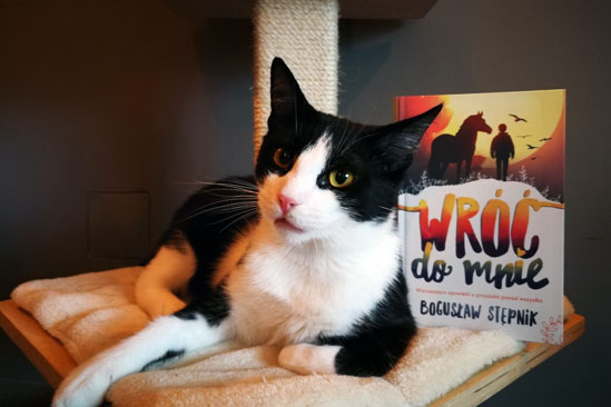 Wróć do mnie, Bogusław Stępnik