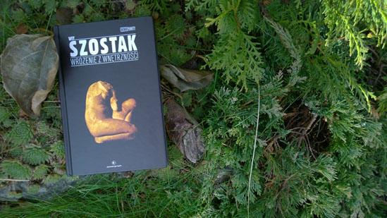 Wróżenie z wnętrzności, Wit Szostak