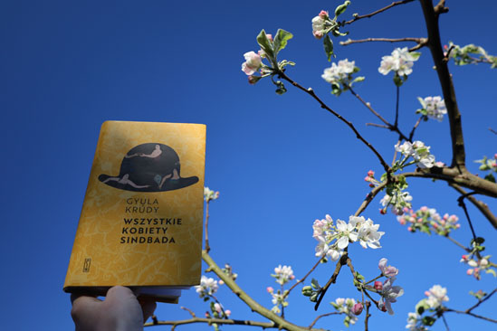 Wszystkie kobiety Sindbada, Gyula Krúdy 