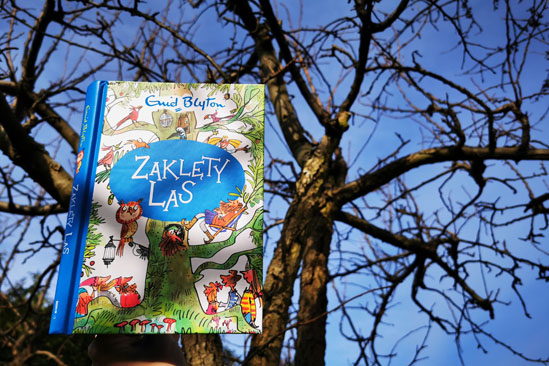 Zaklęty las, Enid Blyton