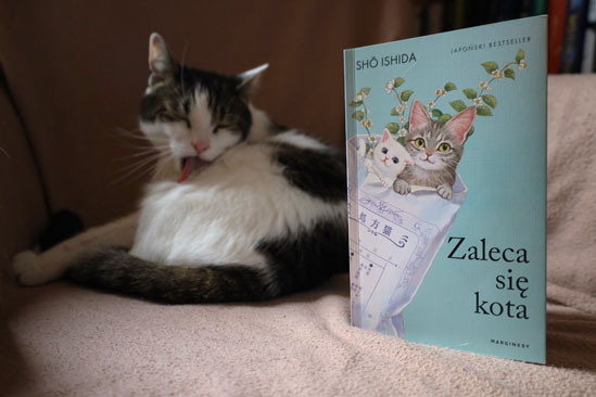 Zaleca się kota, Shō Ishida