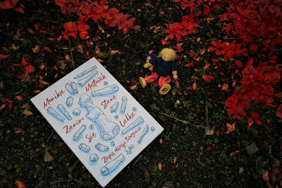 Zanim stanę się lalką, Monika Mostowik