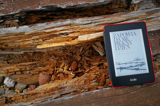 Zapowiada się piękny dzień, Seweryna Szmaglewska