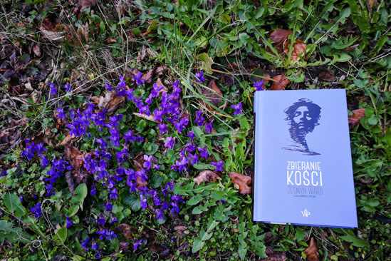 Zbieranie kości, Jesmyn Ward