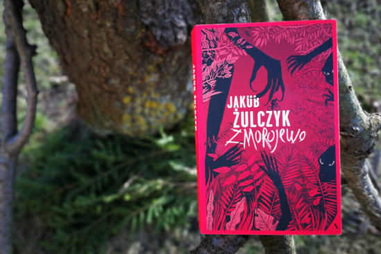 Zmorojewo, Jakub Żulczyk