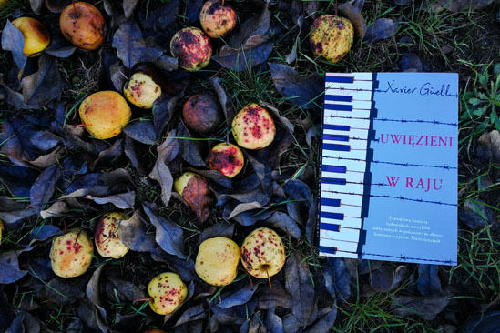 Uwięzieni w raju, Xavier Güell